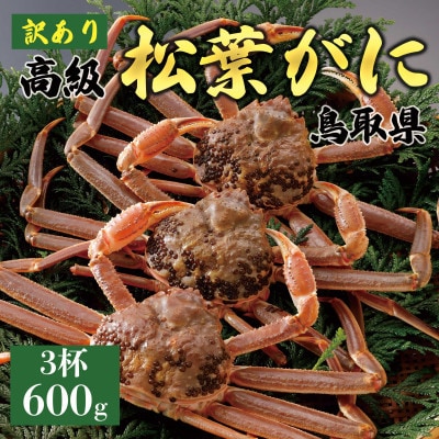 【2027年1月末以降発送】訳あり 松葉がに(活)600g3杯 N135_I