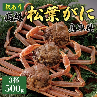 【2027年1月末以降発送】訳あり 松葉がに(活)500g3杯 N138_I