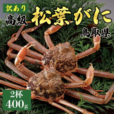 【2027年1月末以降発送】訳あり 松葉がに(活)400g2杯 N140_I