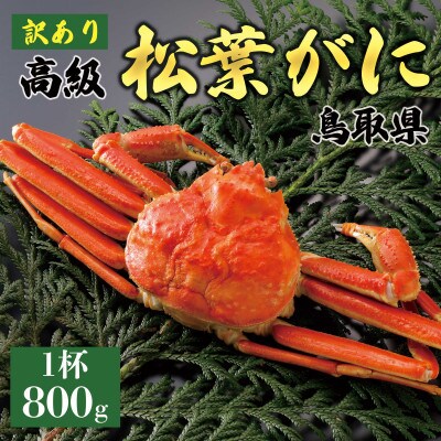 【2027年1月末以降発送】訳あり 松葉がに(茹)800g1杯 N127_Y
