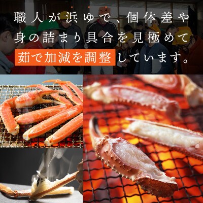 【2027年1月末以降発送】訳あり 松葉がに(茹)800g1杯 N127_Y