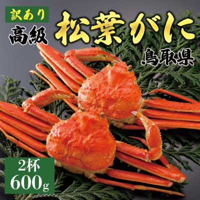 【2027年1月末以降発送】訳あり 松葉がに(茹)600g2杯 N134_Y