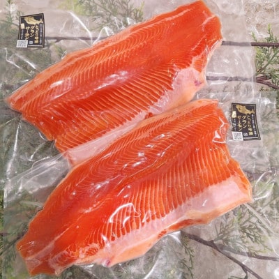 【冷蔵:真空パック】国産 琴浦グランサーモン 活〆 生フィレ 1kg(500g×2P)