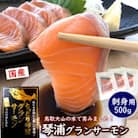 国産 琴浦グランサーモン刺身用　小分け500g 無投薬養殖で安心 訳あり