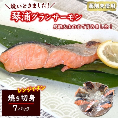 国産とっとり琴浦グランサーモン塩焼き7切 不揃いのため訳あり 個包装 レンチン