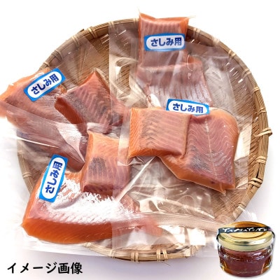 国産とっとり琴浦グランサーモン刺身用500g いくら付 訳あり 小分け個包装で便利・薬剤未使用で安心