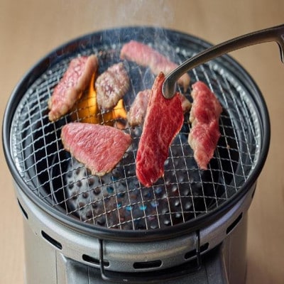 鳥取県産牛ハラミと鳥取和牛カルビの焼肉セット 計450g 1219