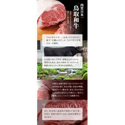 鳥取和牛4つの部位の焼肉盛り合わせ300g 1243
