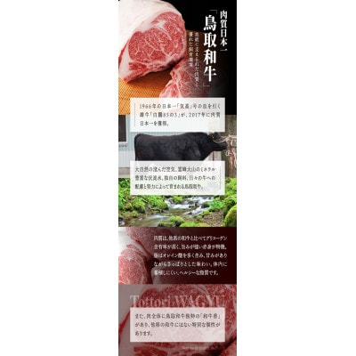 鳥取和牛6つの部位の焼肉盛り合わせ400g 1246