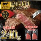 鳥取和牛 赤身ステーキ 240g(120g×2枚) KT010-001