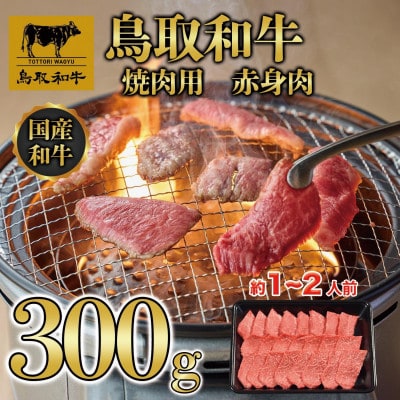 鳥取和牛 焼肉用 赤身肉(モモ、ウデ) 計300g KT010-013