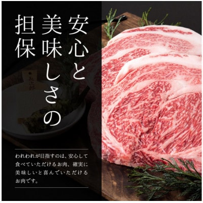 鳥取和牛 赤身肉 ブロック やわらか 300g KT010-023