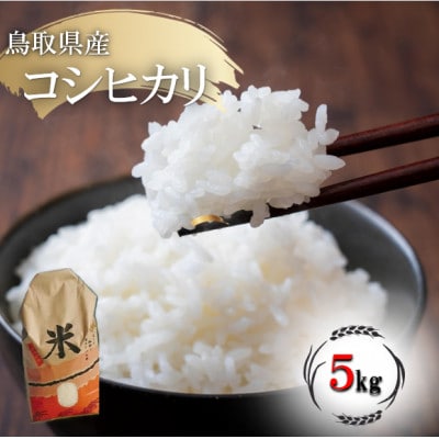コシヒカリ 令和7年産 鳥取県産 5kg | ふるさと納税のお礼品