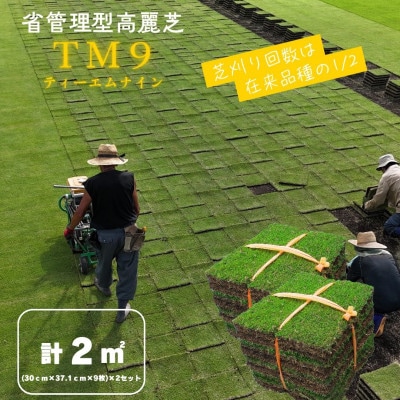 【2026年3月以降順次発送】芝生(省管理型コウライ芝　TM9ティーエムナイン)2束セット※2平米分
