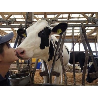 「みるくのまんま　とれたてアイス」6個セット(90ml×6個)