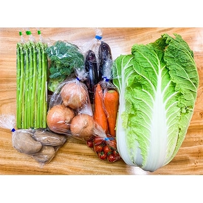 阿波市産野菜”阿波ベジ”詰合せ(6～8品目)