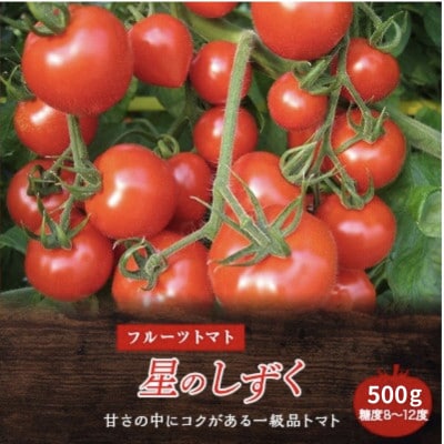 《500g》フルーツトマト「星のしずく」