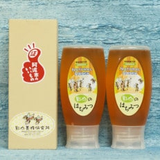 【阿波産】天然 影山のはちみつ チューブ〈倒立〉タイプ500g×2本