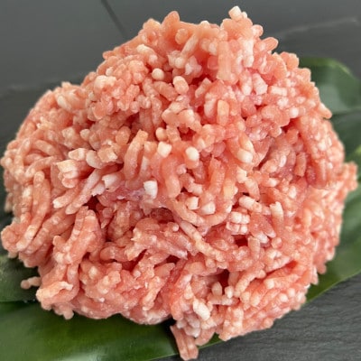 【冷凍2種計2kg】阿波の金時豚詰合せ(切り落とし+ミンチ)　約500g真空パック/袋