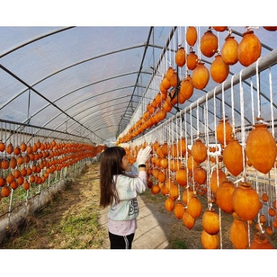 徳島県特産　阿波の天然菓【大和干し柿】