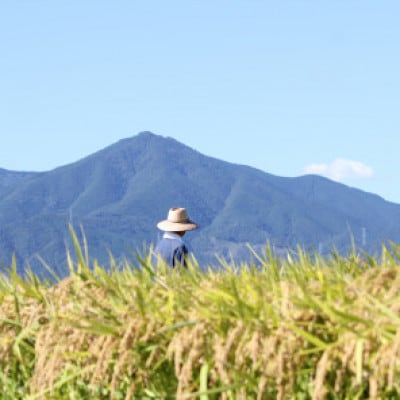 1等米、食味値80点以上の【阿波ノ北方米コシヒカリ3kg】