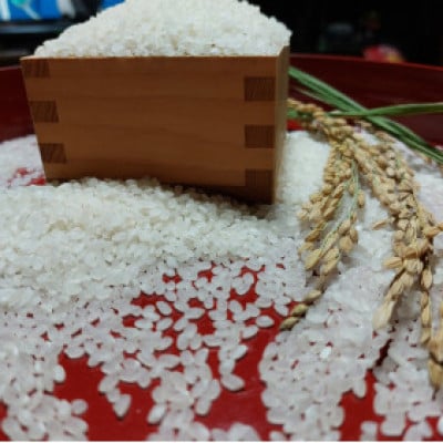 1等米、食味値80点以上の【阿波ノ北方米コシヒカリ3kg】