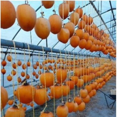 【贈答用】《8個》徳島県特産　阿波の自然菓　「大和柿」干し柿ギフト用