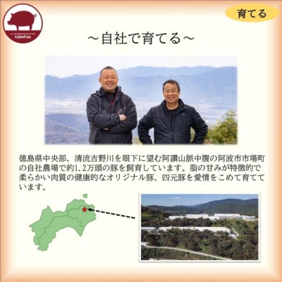 【4種1kg】徳島県産阿波美豚　豚スライス肉セット(ロース・モモ・肩ロース・バラ)　G08