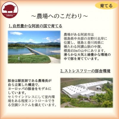 【豚肉2種+ソーセージ3種】豚肉とソーセージのお楽しみセット　焼肉&BBQに便利!　G10