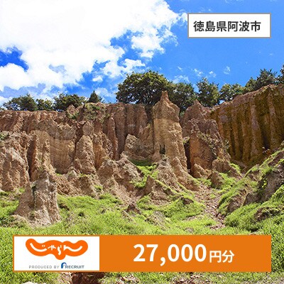 【じゃらんふるさと納税クーポン】 徳島県阿波市でつかえる27,000円 クーポン