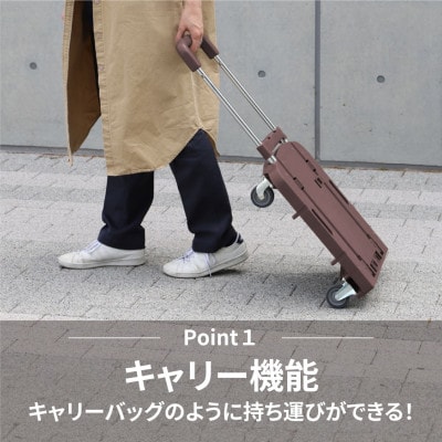 コンパクトキャリー(ハンドル伸縮折り畳み台車)　ダークブラウン