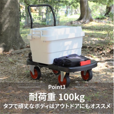 オフロード台車タフバギー　NTH-NP150BK(R)