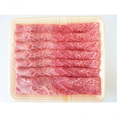 A5等級飛騨牛赤身肉すき焼き・しゃぶしゃぶ用約300g　モモ又はカタ肉 | ふるさと納税のお礼品