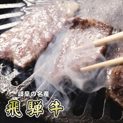 〔A5等級〕飛騨牛焼肉用300g　ロース又は肩ロース肉