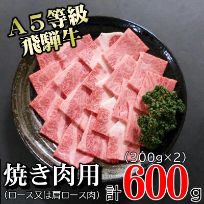 〔A5等級〕飛騨牛焼肉用600g　ロース又は肩ロース肉