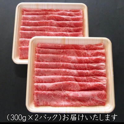 〔A5等級〕飛騨牛赤身肉スライス600g　モモ又はカタ肉