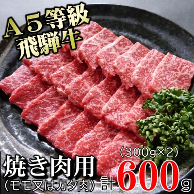 〔A5等級〕飛騨牛赤身肉焼肉用600g　モモ又はカタ肉