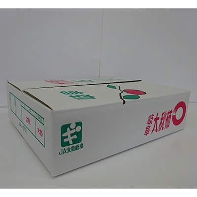 太秋柿10玉入