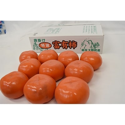 揖斐郡産特選富有柿【3L×10玉】
