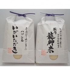 プレミアム米セット(坂内龍神米、いびいただき)各3kg(精米)