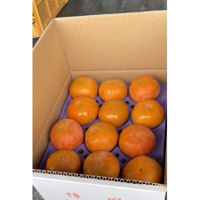 贈答用富有柿　2L約3kg