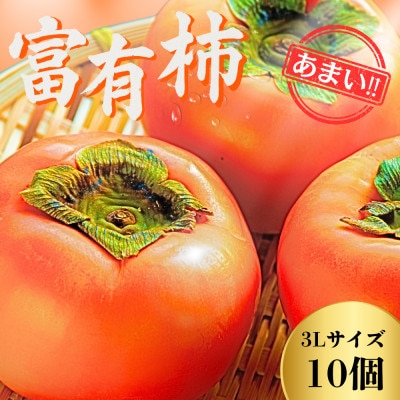 甘くておいしい岐阜の柿【富有柿】 3L×10個 秀品 岐阜県 大野町(2025年11月下旬～発送)