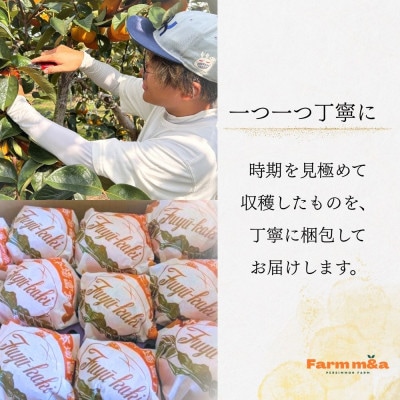 甘くておいしい岐阜の柿【富有柿】 3L×10個 秀品 岐阜県 大野町(2025年11月下旬～発送)