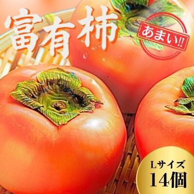 甘くておいしい岐阜の柿【富有柿】 L×14個 秀品 岐阜県 大野町(2025年11月下旬～発送)