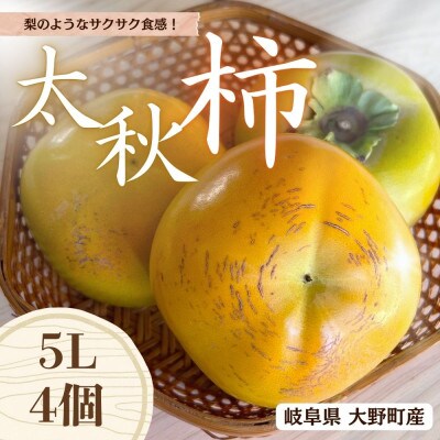 梨のようなサクサク食感! 【太秋柿】 5L×4個 秀品 岐阜県 大野町(2025年10月中旬～発送)