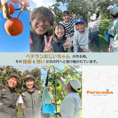 真っ赤で大きくて甘い!【早秋柿】 4L×9個 秀品 岐阜県 大野町　(2025年10月中旬～発送)