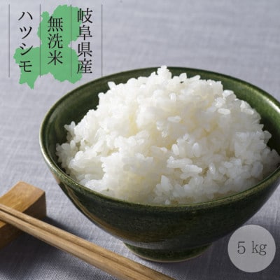 令和5年産 岐阜県産 無洗米 はつしも 5kg