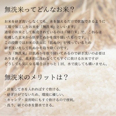 令和5年産 岐阜県産 無洗米 はつしも 5kg