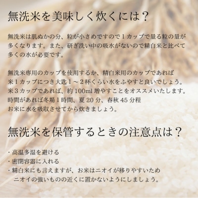 令和5年産 岐阜県産 無洗米 はつしも 5kg
