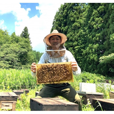 岐阜県産　百花みつ　250g　×3本セット